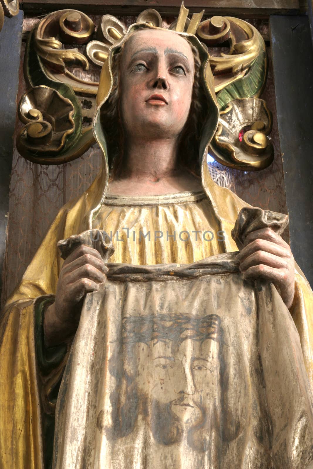 Saint Veronica and her Veil