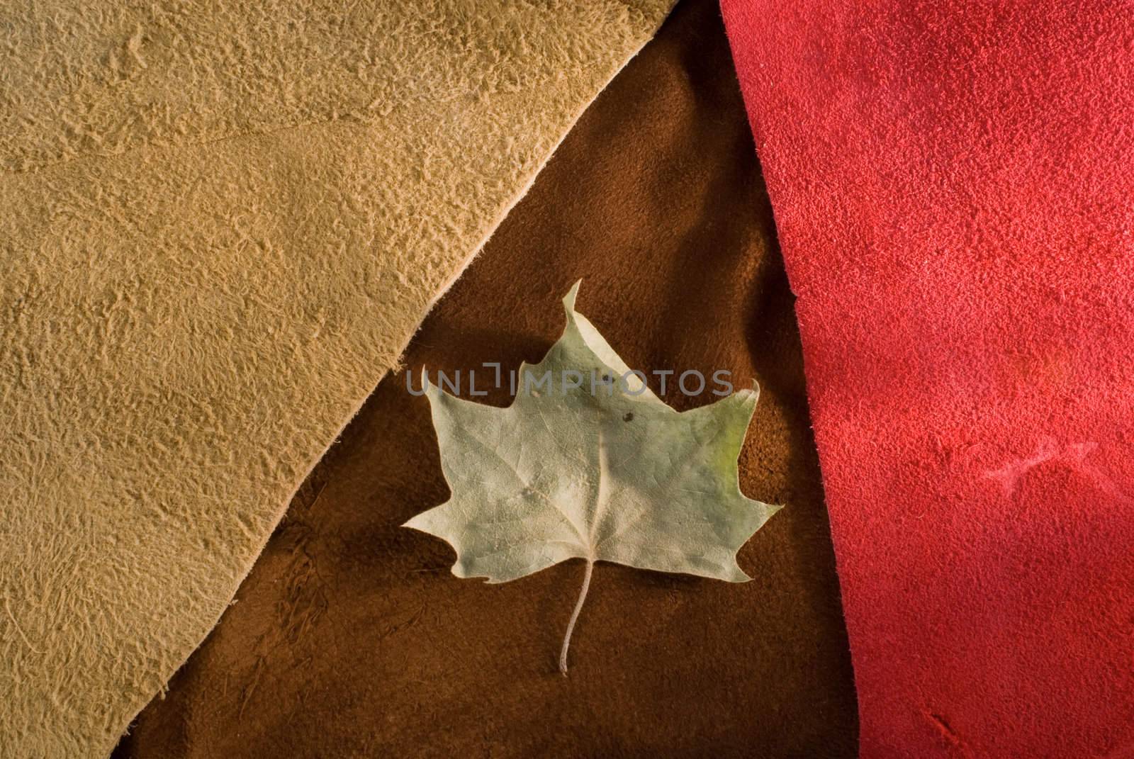 Red, brown, and beige cow leather texture close up with autumn leaf. Useful as background.