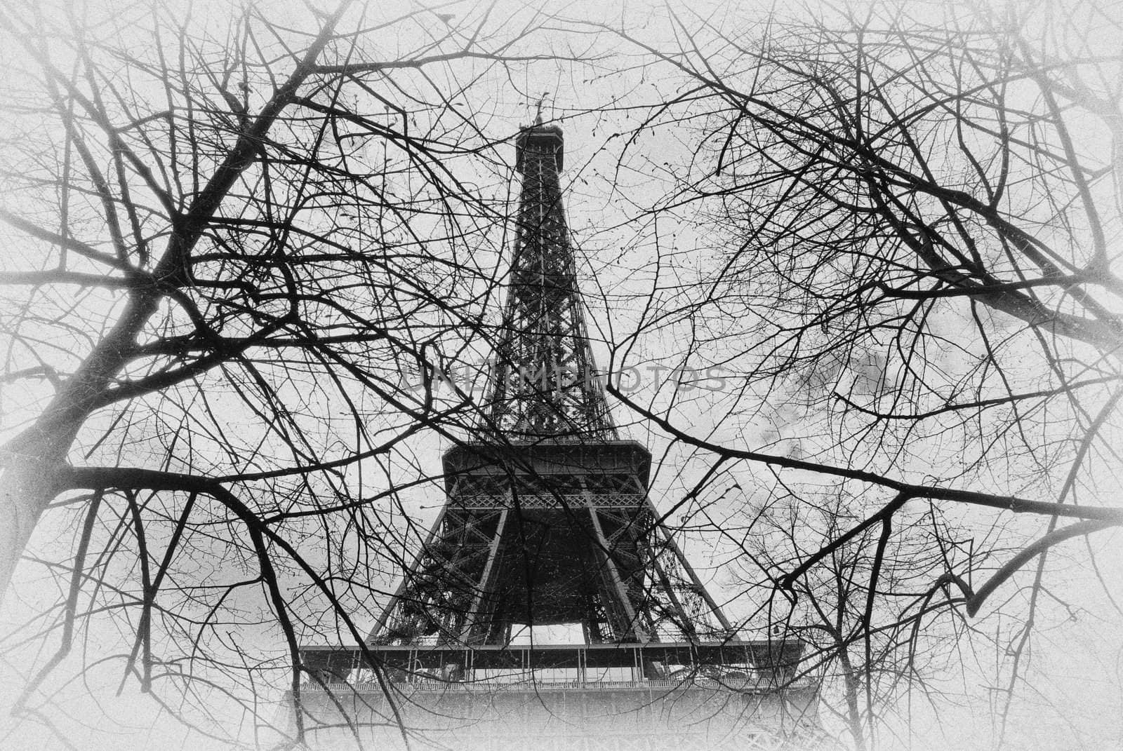 View to Eiffel tower throrhg leafless trees