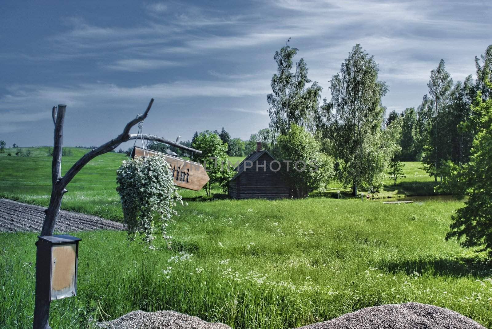 Rural view - village, field, trees, grass