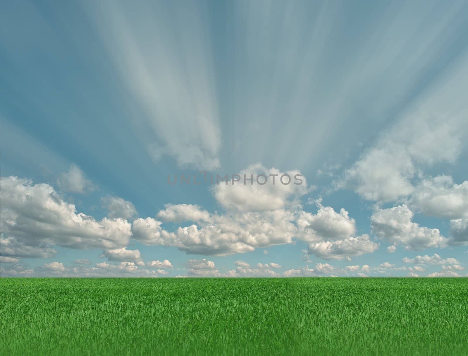 infinite the green meadow on background of sky from clouds