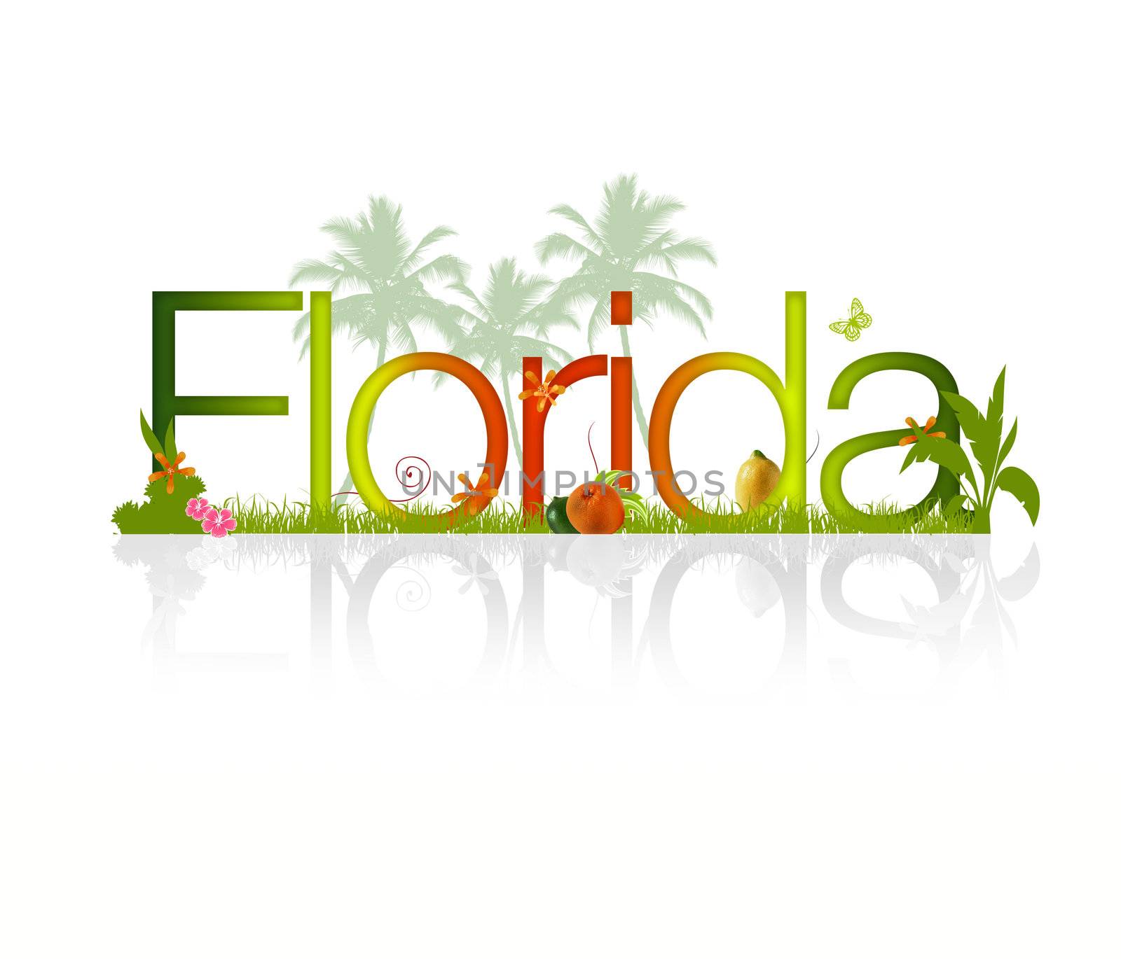 High Resolution Florida Graphic on white background