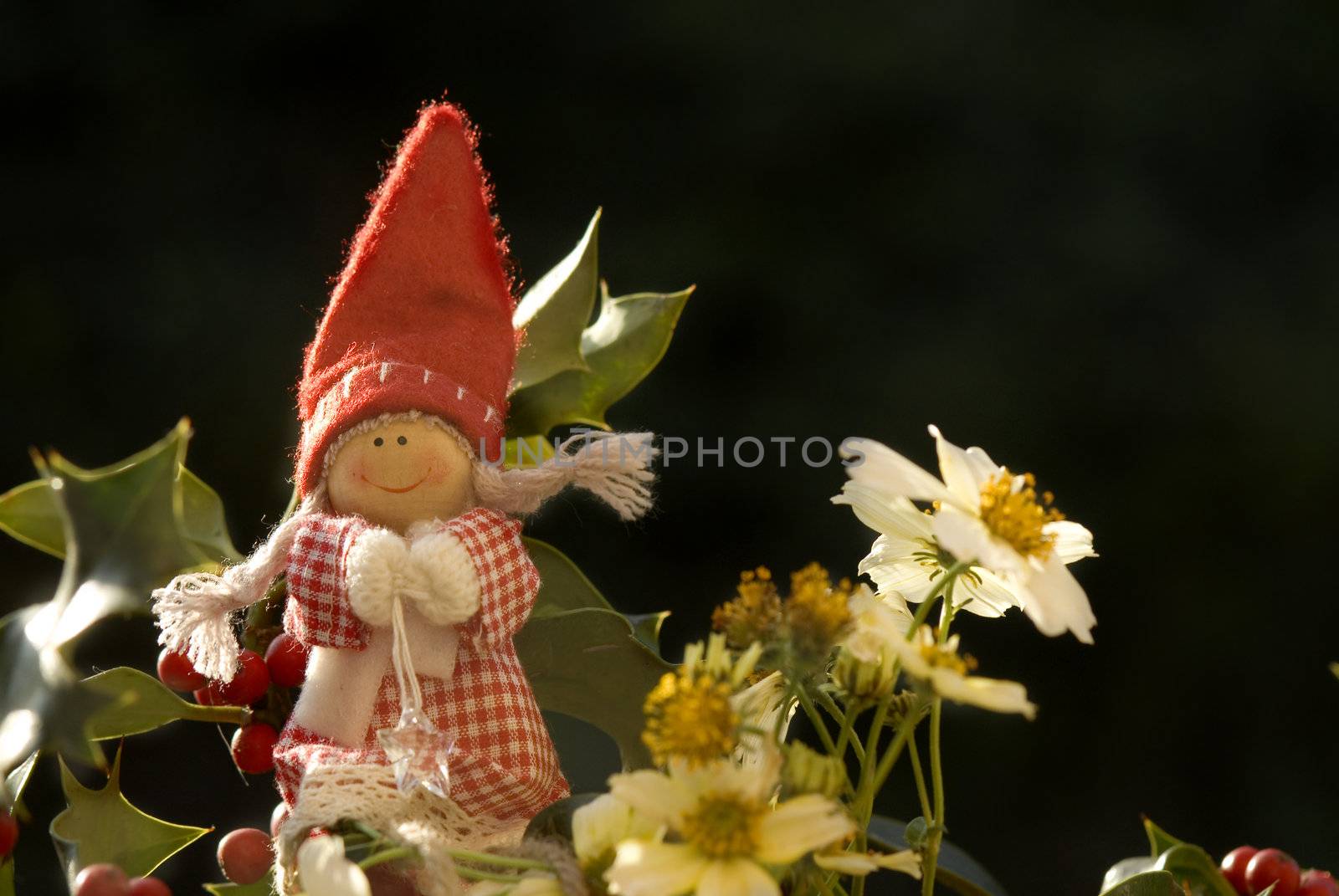 background christmas elf among winter flowers on black 