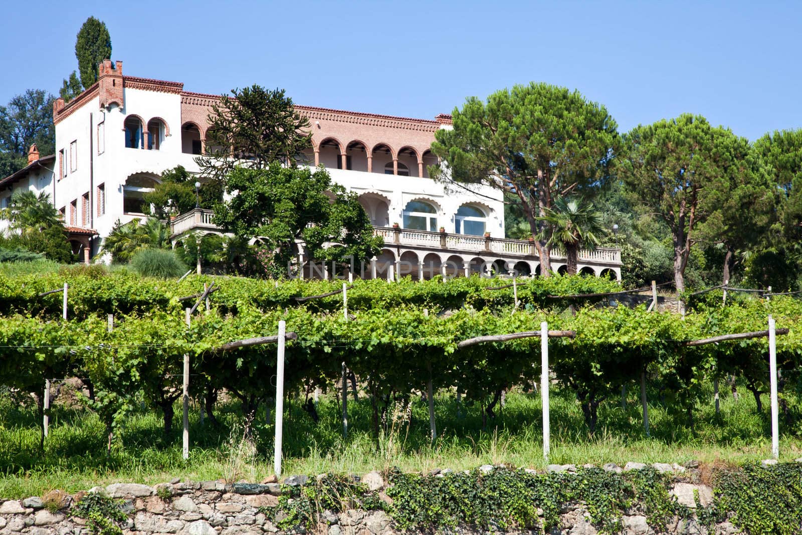 Tuscany, Italy. Italian luxury villa in the country, close to a Lambrusco vineyard