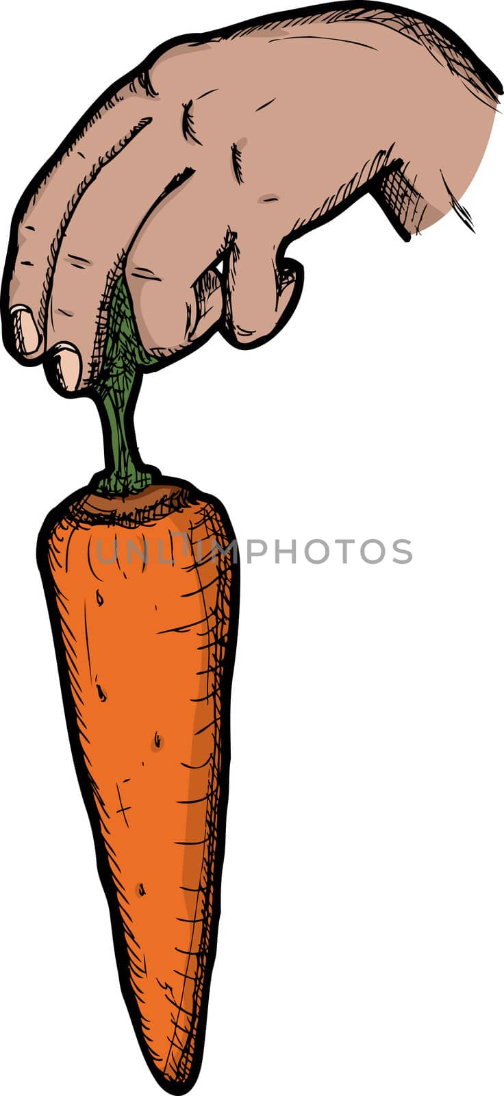 Dangling a carrot illustration on white background