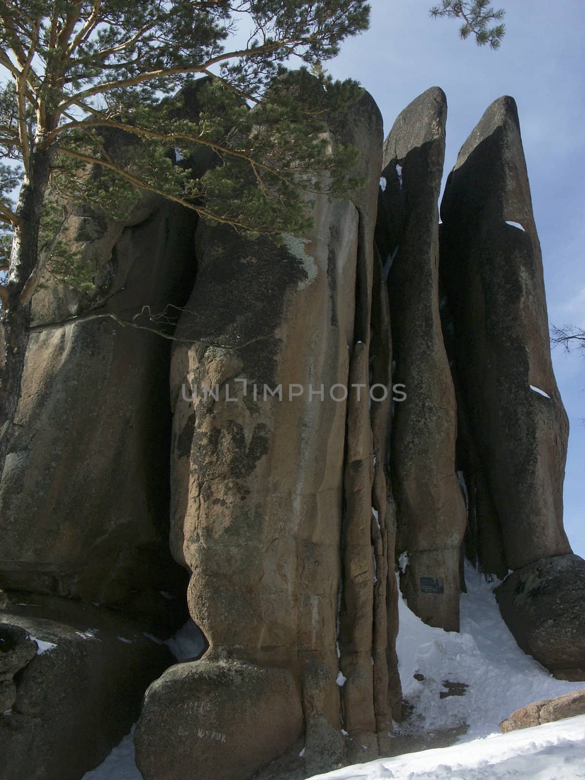 Minolta DSC. Rocks "Feathers" in national reserve "Columns" in Krasnoyarsk