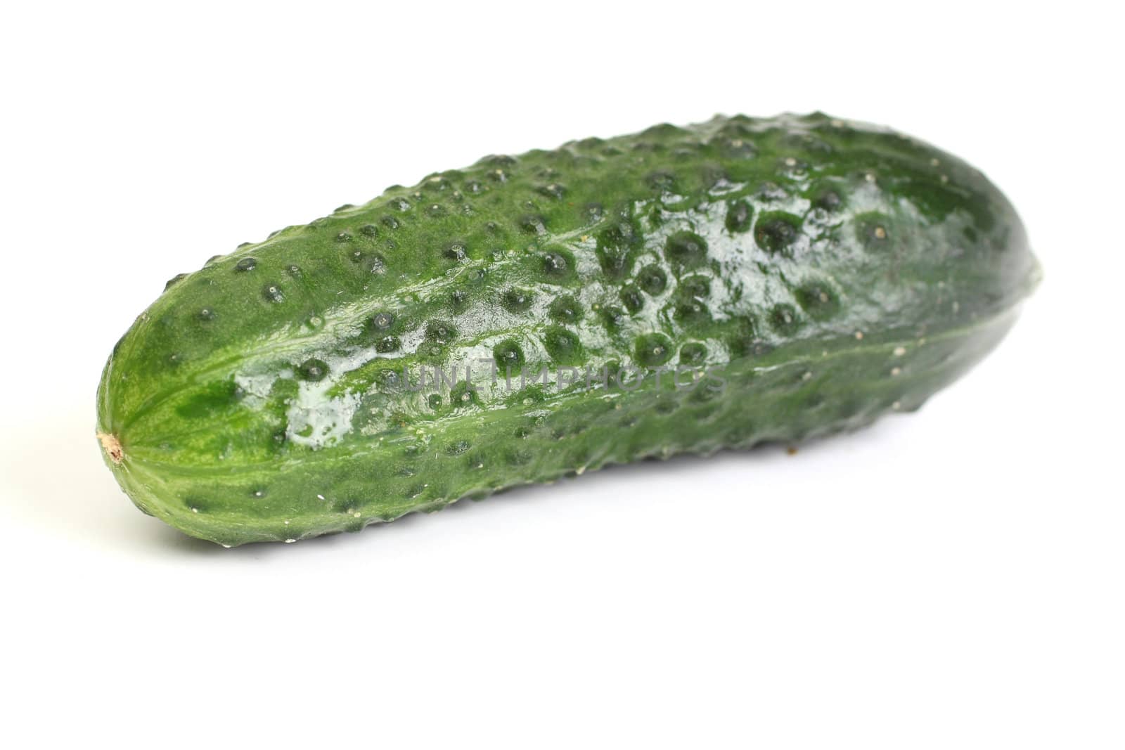 green cucumber isolated on white