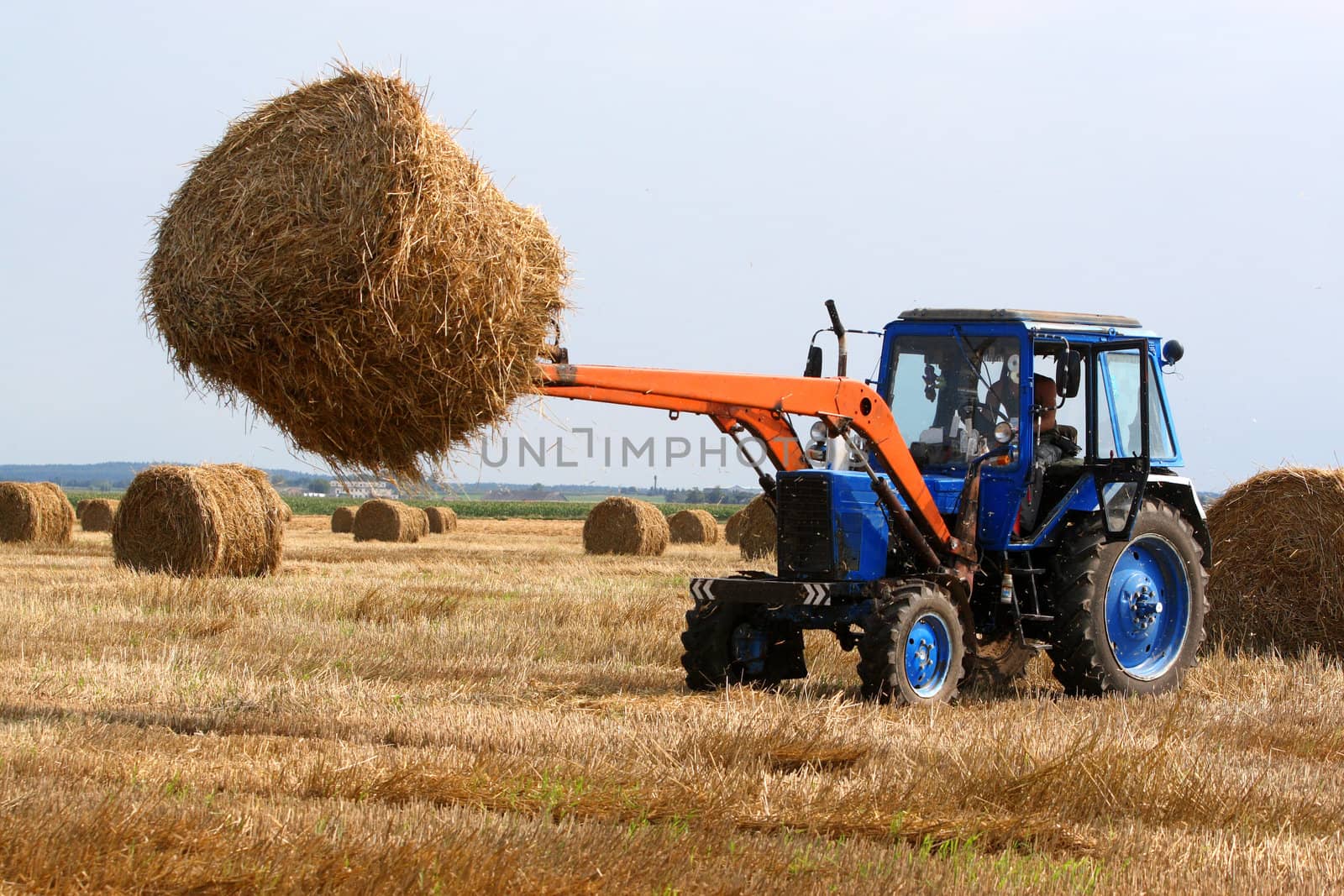 Preparation of hay for the winter a tractor