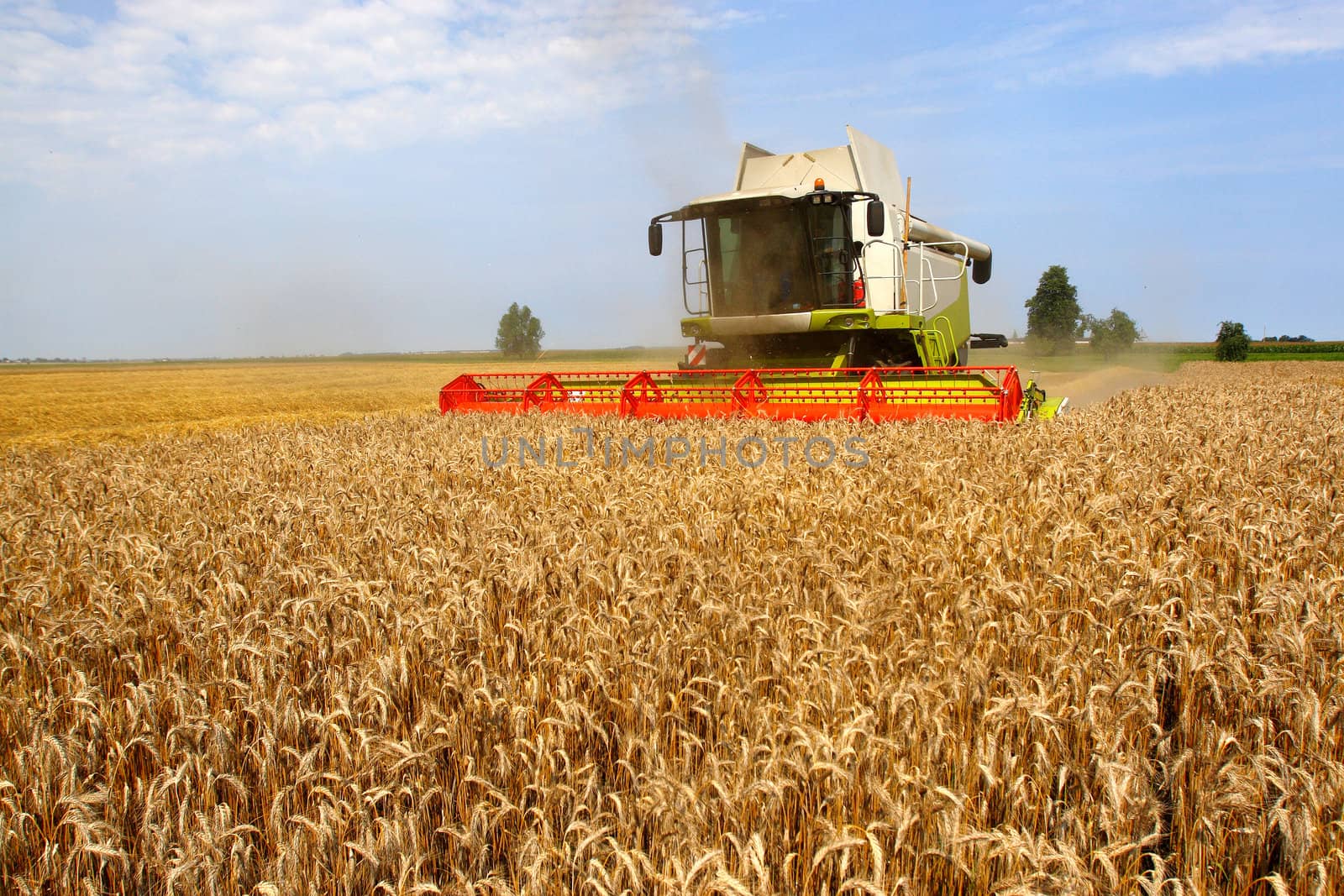Machine harvesting the corn field