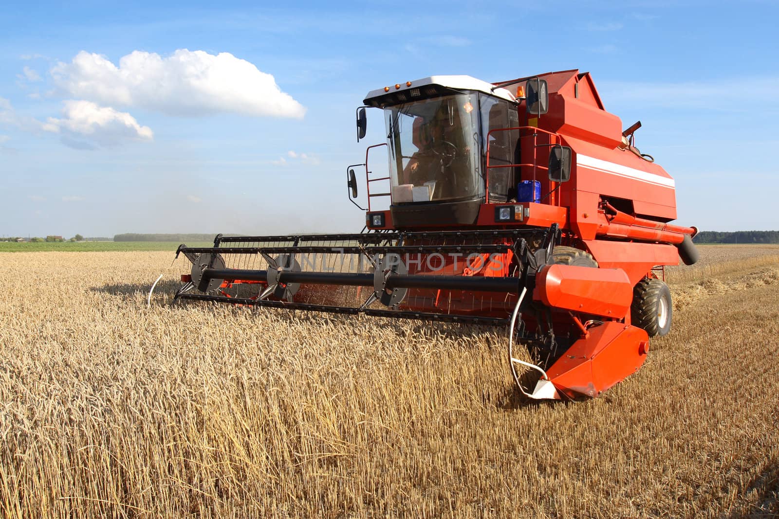 Machine harvesting the corn field