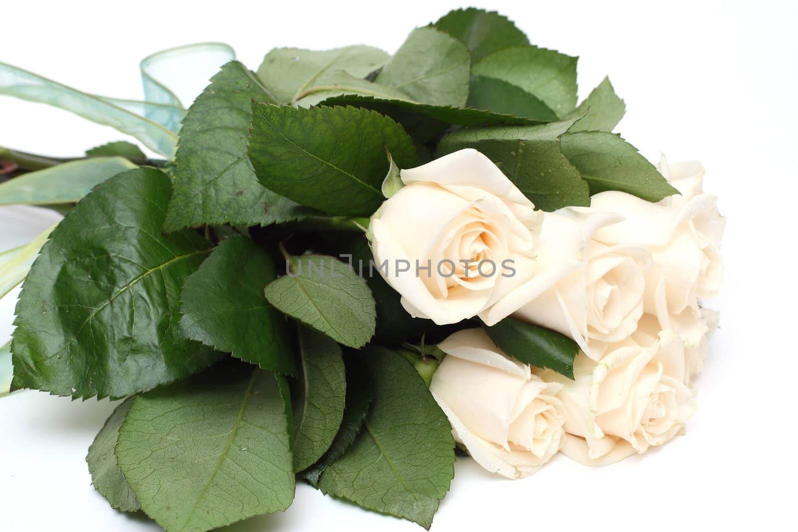 Bouquet of cream roses isolated on white