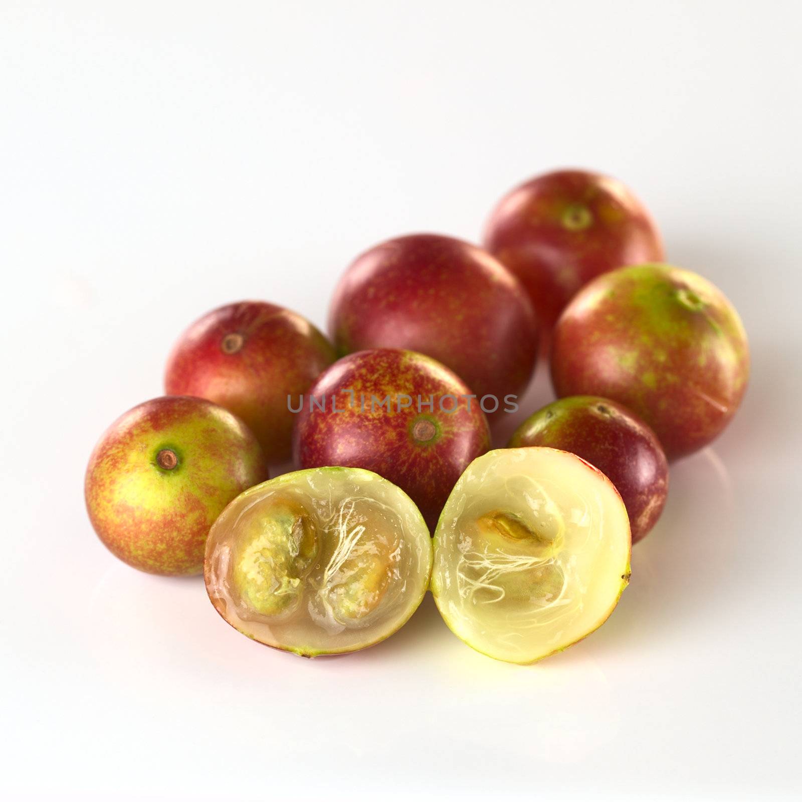 Camu camu berry fruits (lat. Myrciaria dubia) which are grown in the Amazon region and have a very high Vitamin C content (Selective Focus, Focus on the camu camu halves in the front)