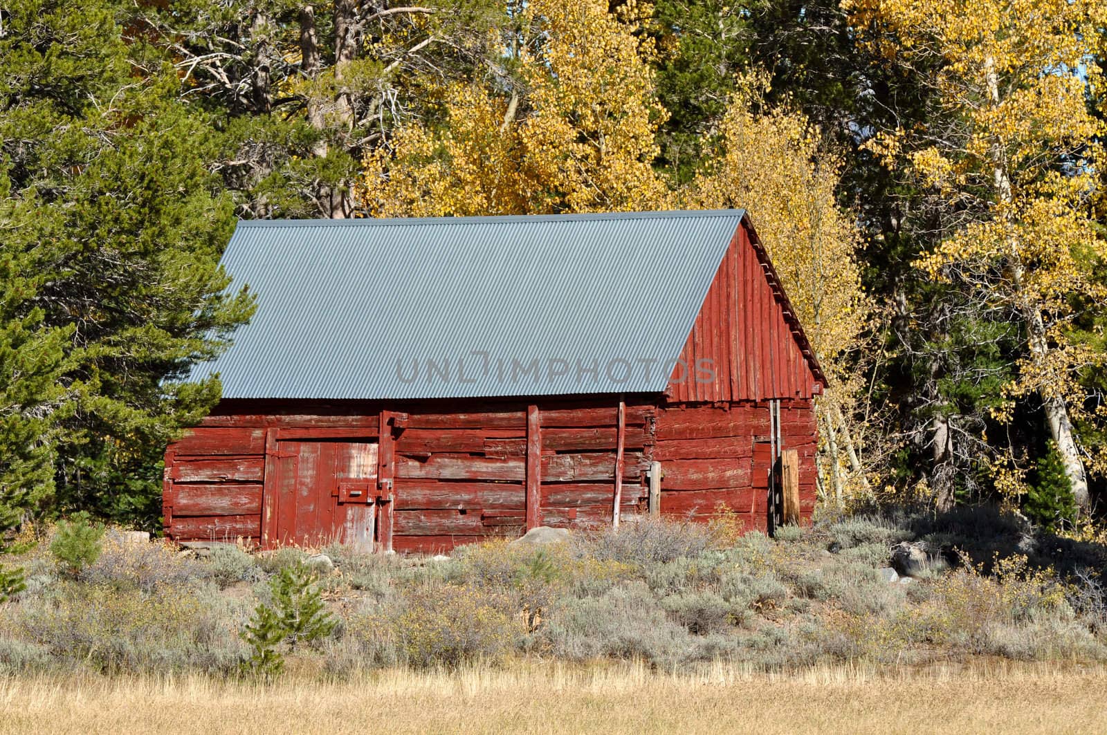 Cabin in Fall with Meadow in foreground