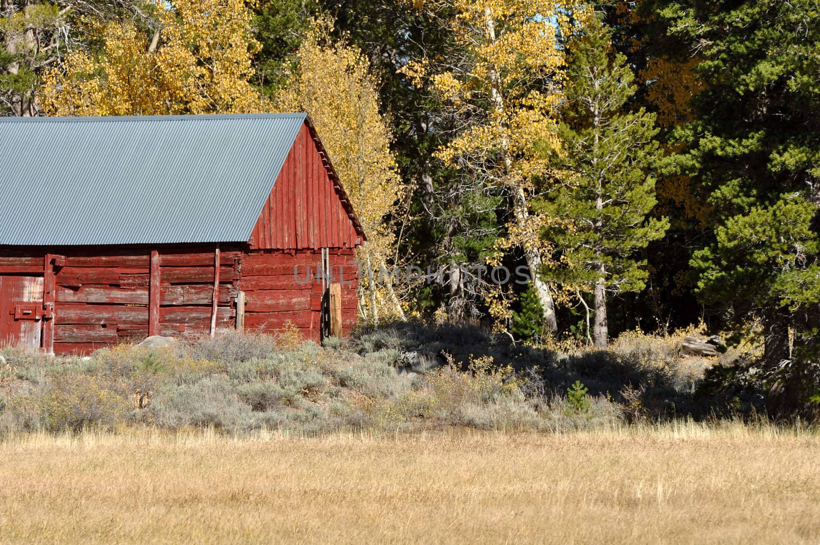 Cabin in Fall with Meadow in foreground