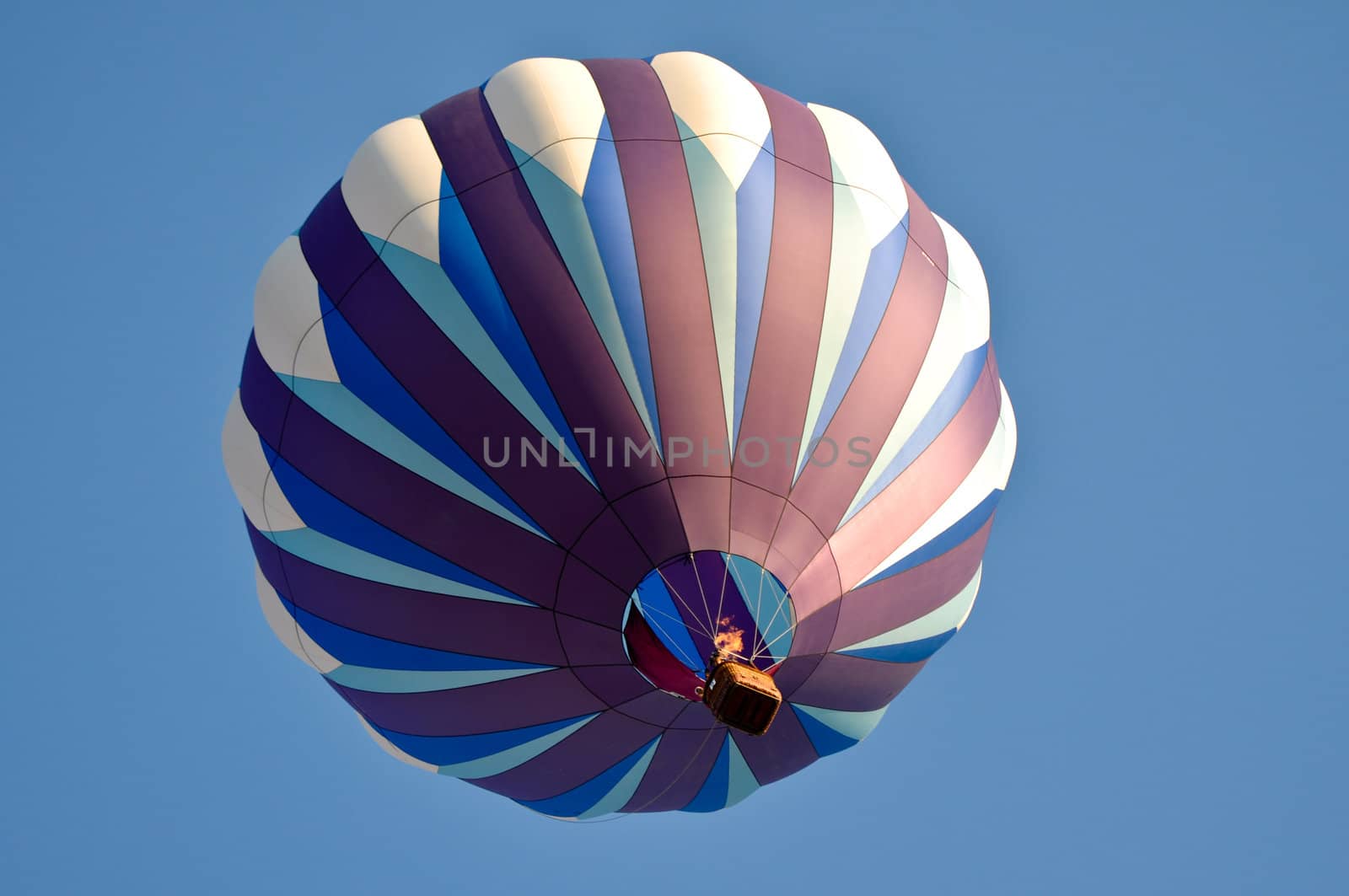 Purple Hot Air Balloon