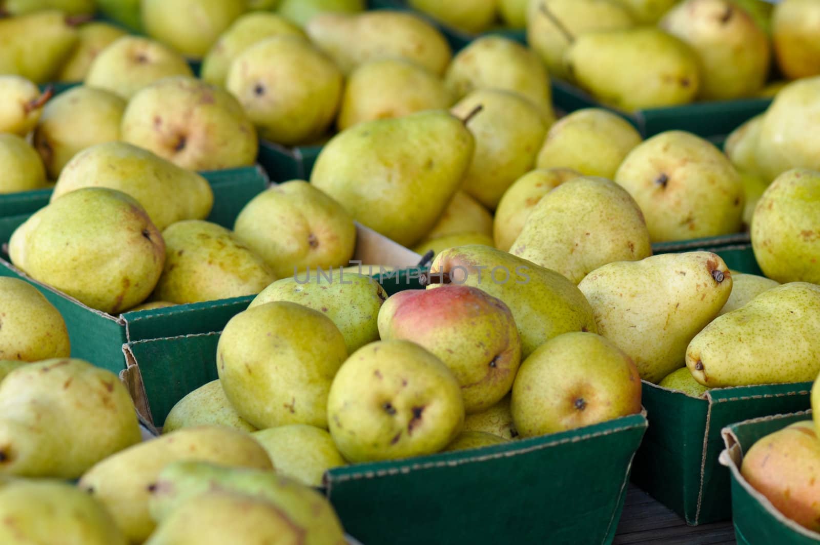 Pears for Sale at the Market