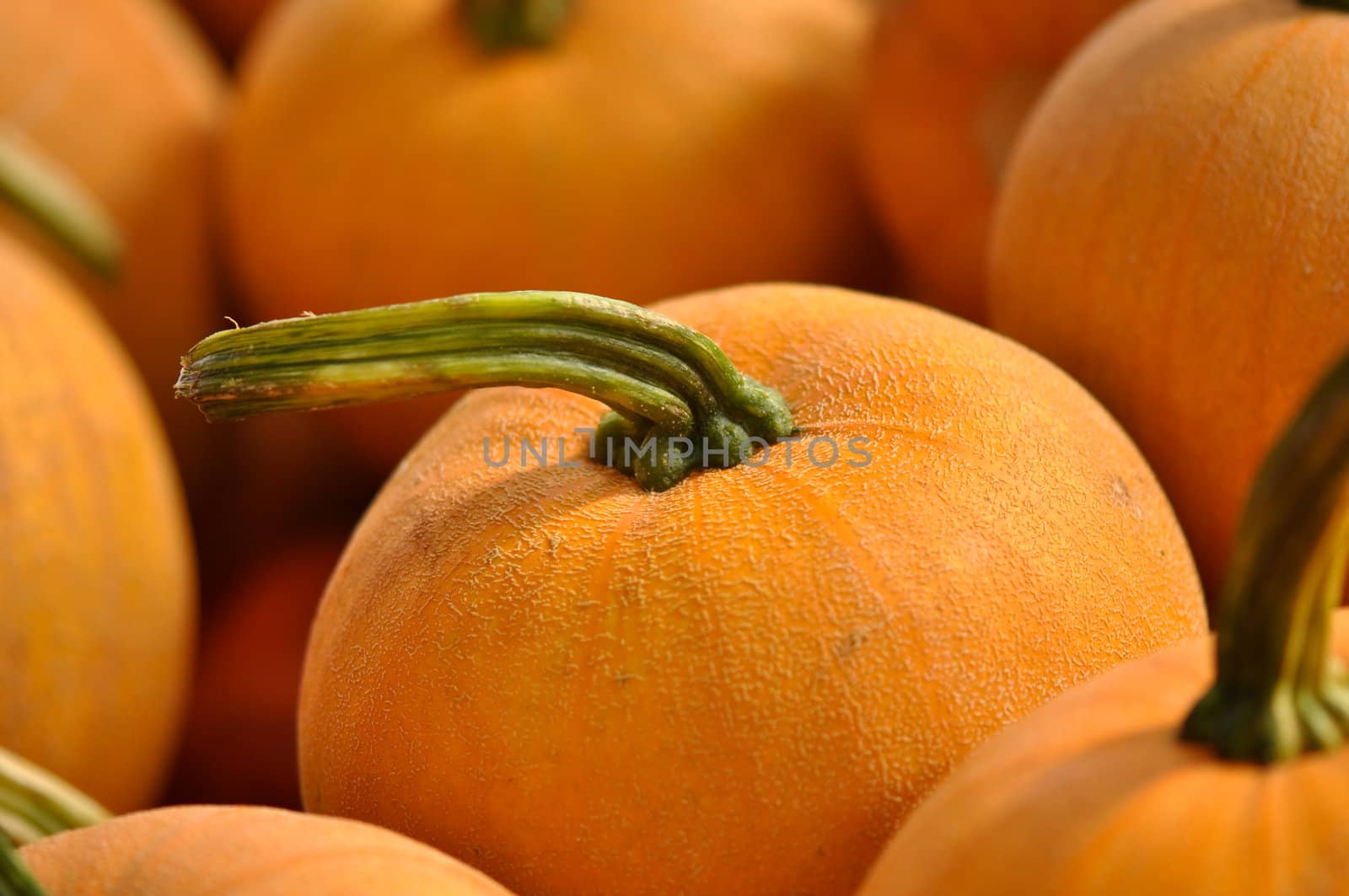 Pumpkins