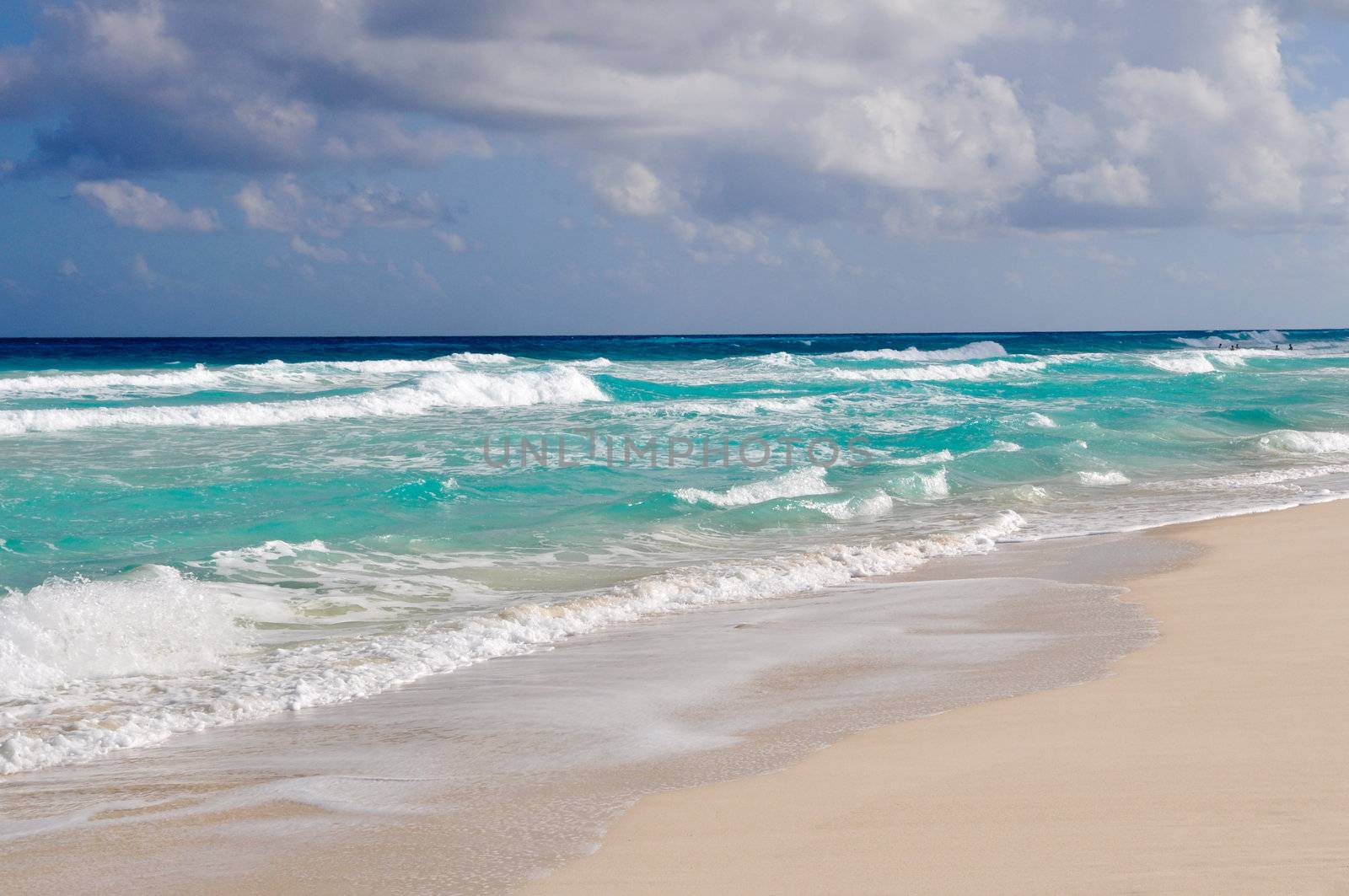 Tropical Beach Background