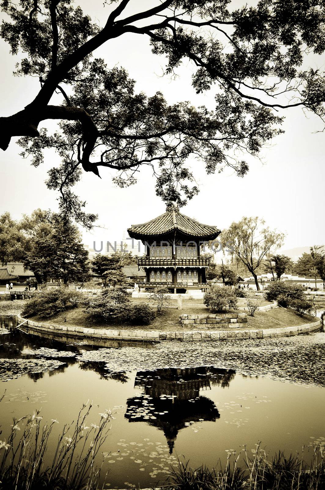 A chinese pagoda in a beautiful park in the city of Seoul, Korea