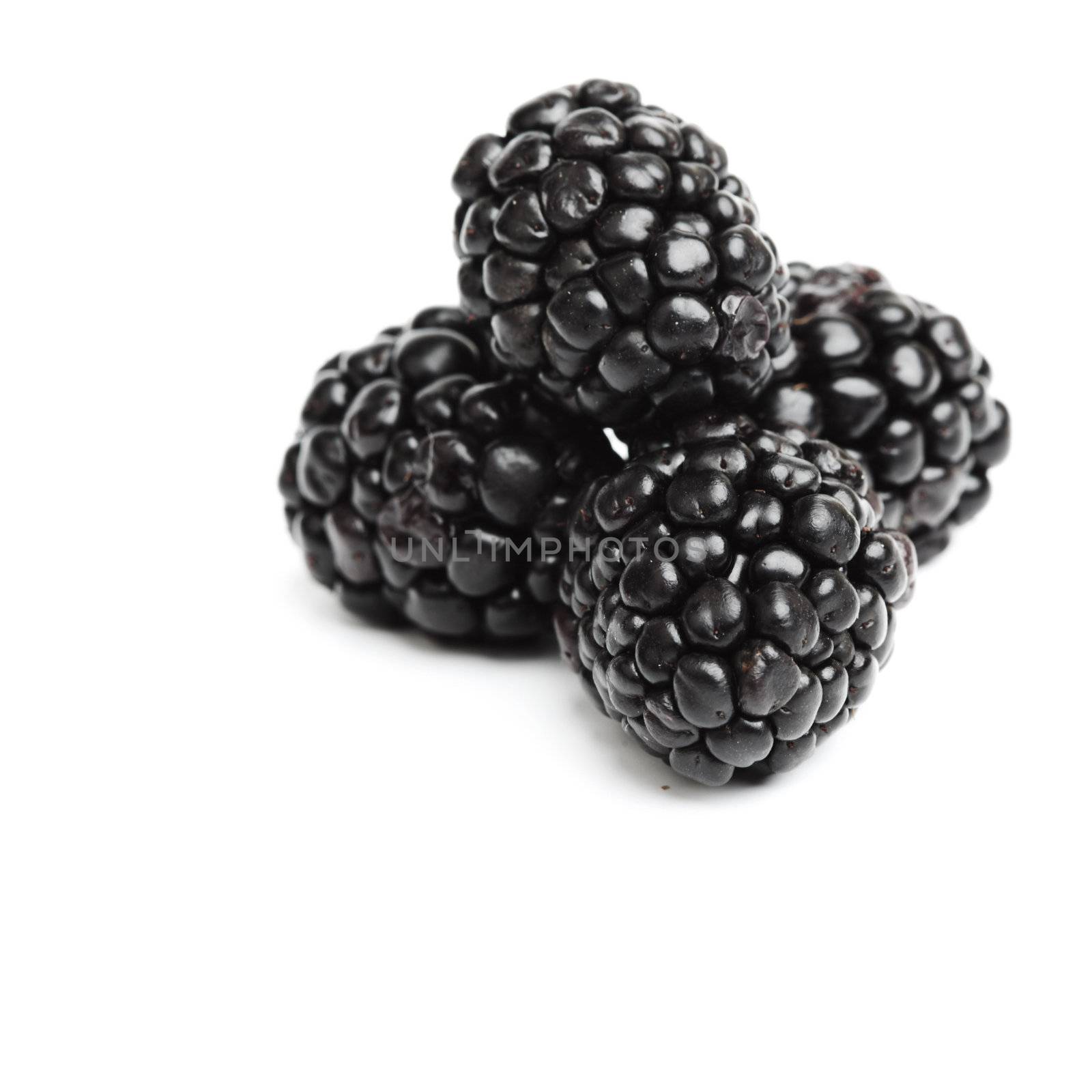 blackberry pile by Yellowj