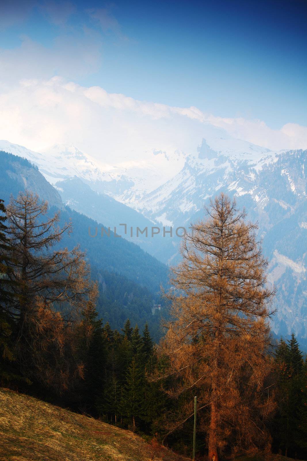 spring alps mountains scene background