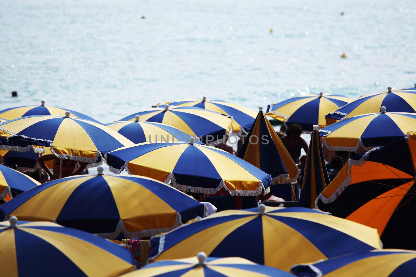 umbrellas on beach