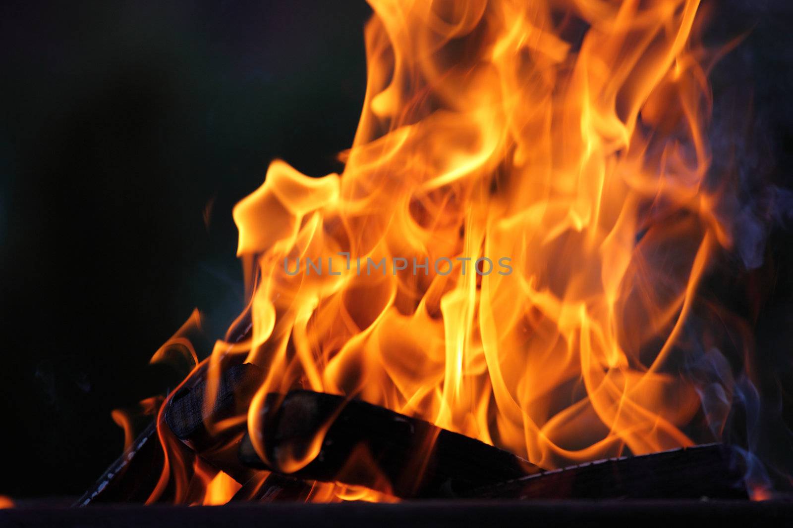 bonfire in dark close up