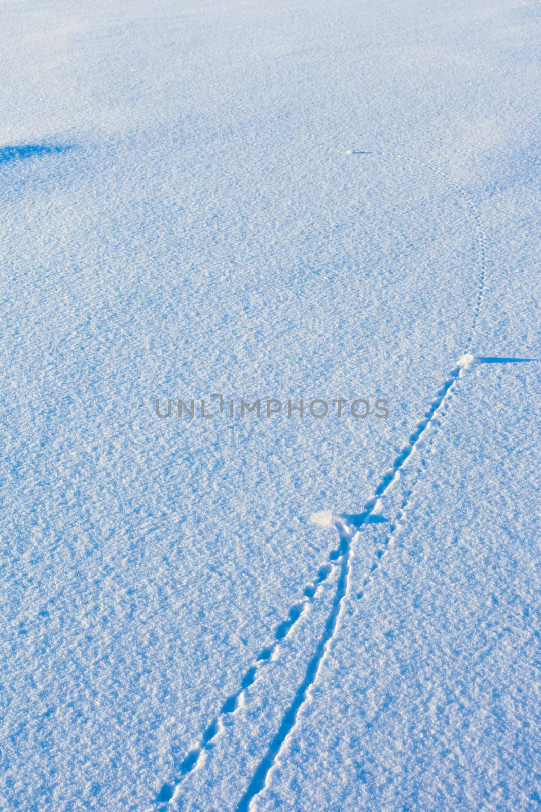 Trajectory lines of ice chunks imprinted on surface of freshly fallen snow.