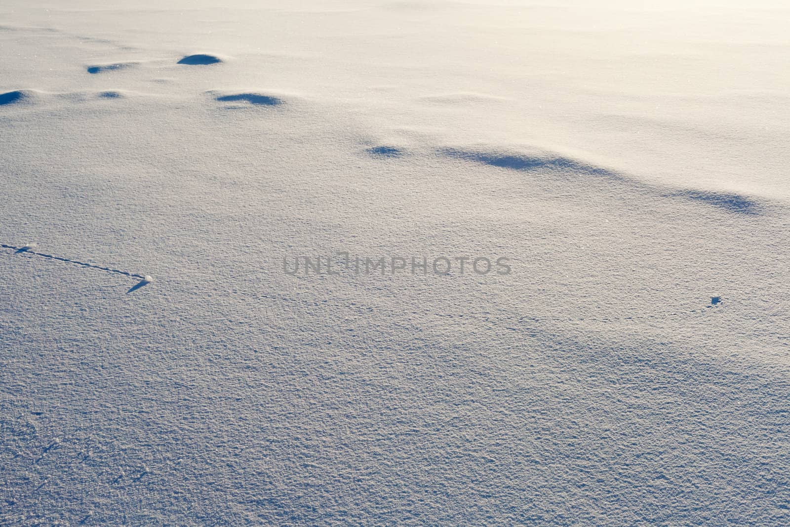 Trajectory lines of ice chunks imprinted on surface of freshly fallen snow.