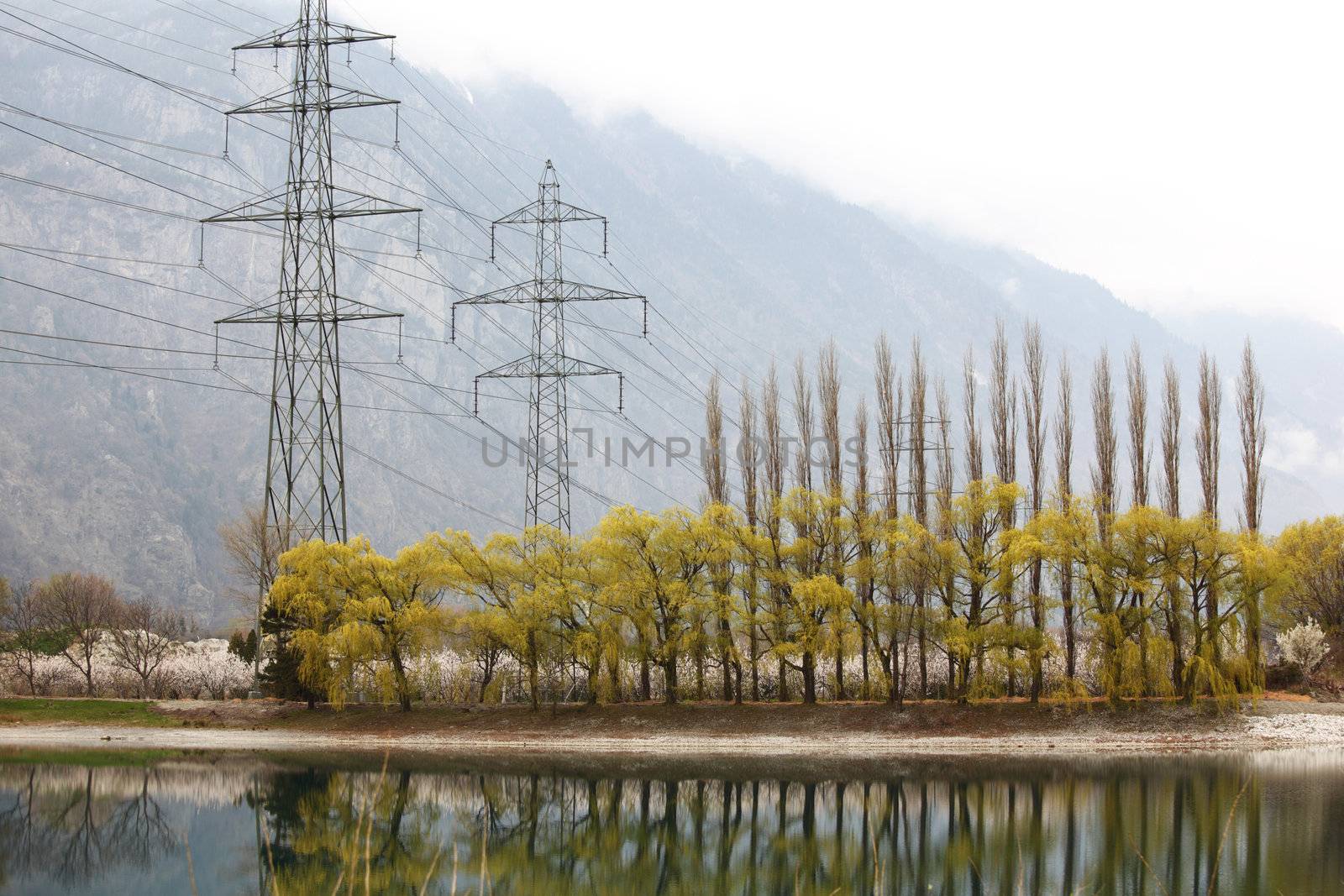 power line in spring mountain