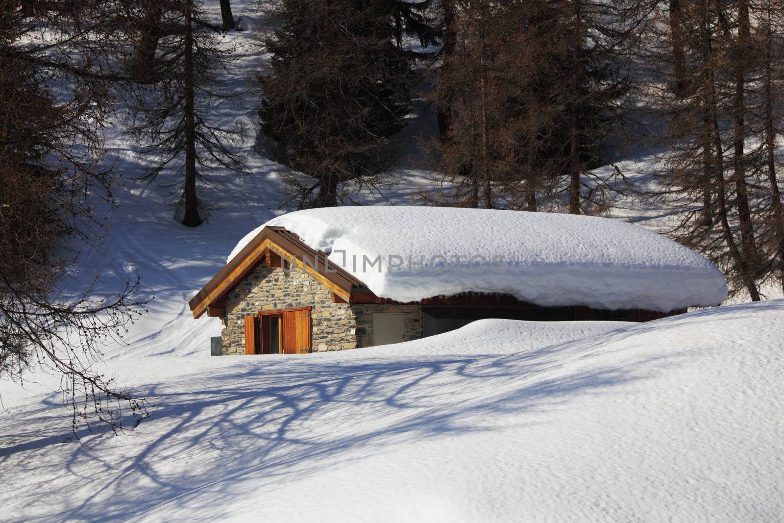 village house close up on field
