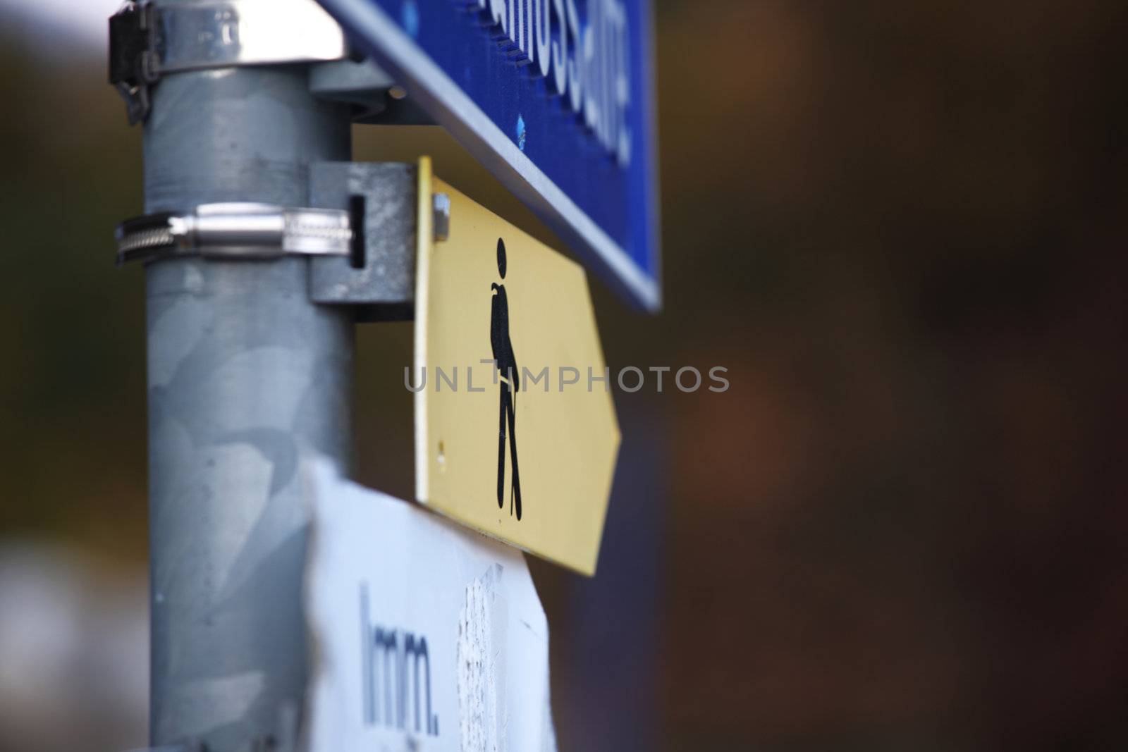 walk sign on the road