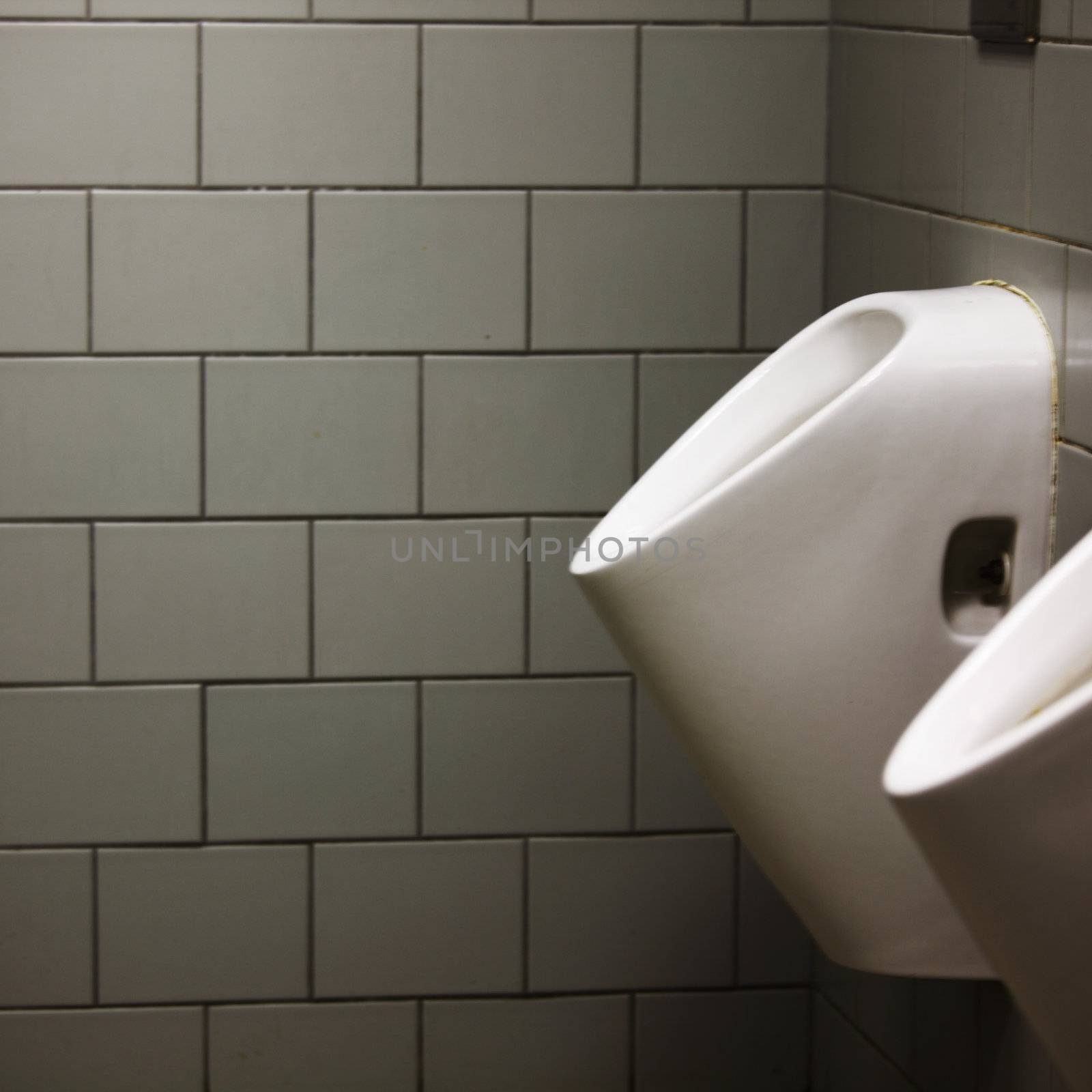 inside luxury modern toilet room