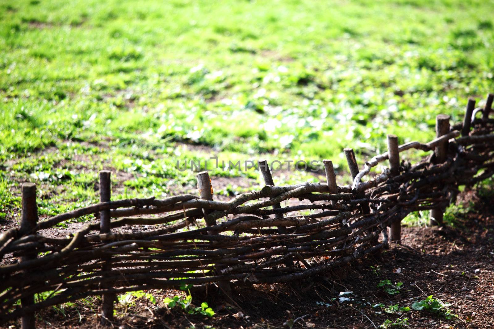 wood fence in hight dof