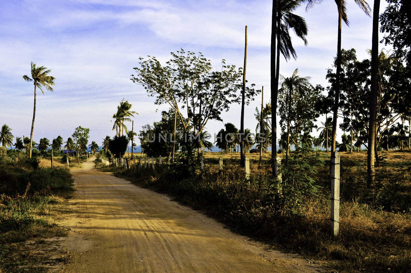A desolate dirt road in a tropical part of asia