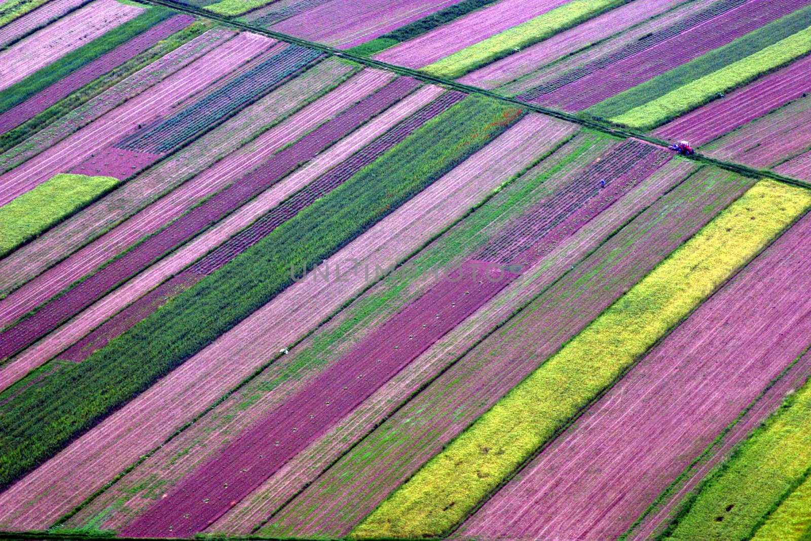 Abstract landscape, Aerial view of colorful fields