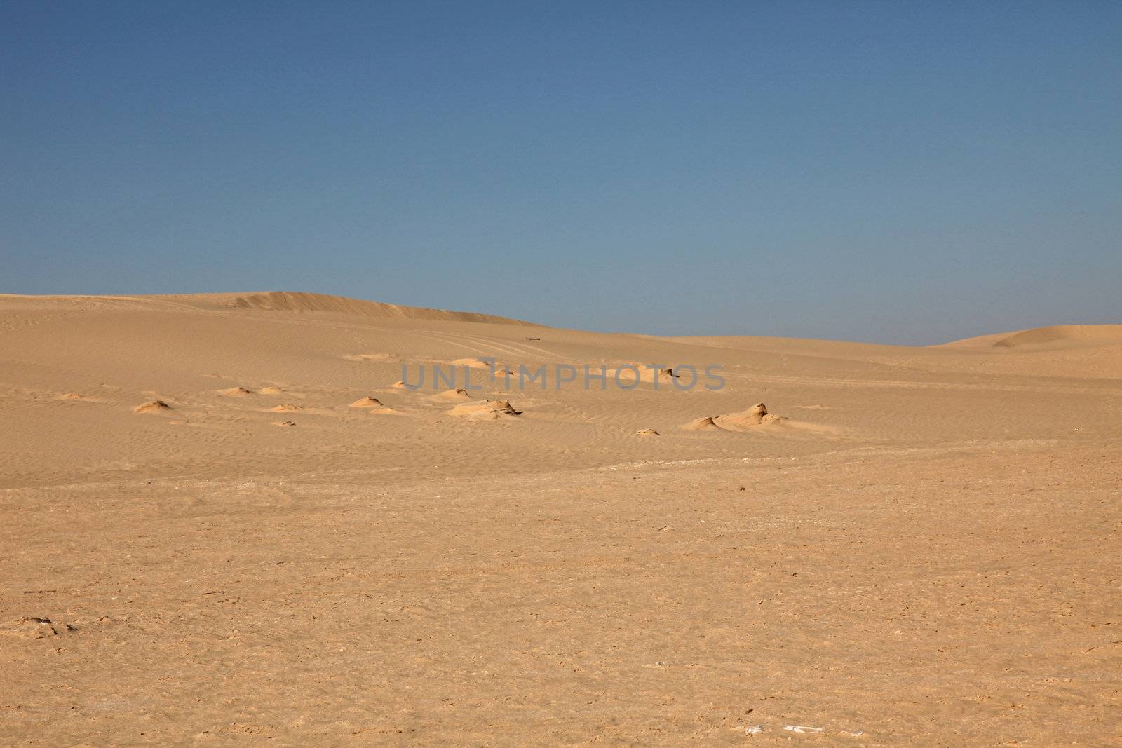 Sahara desert