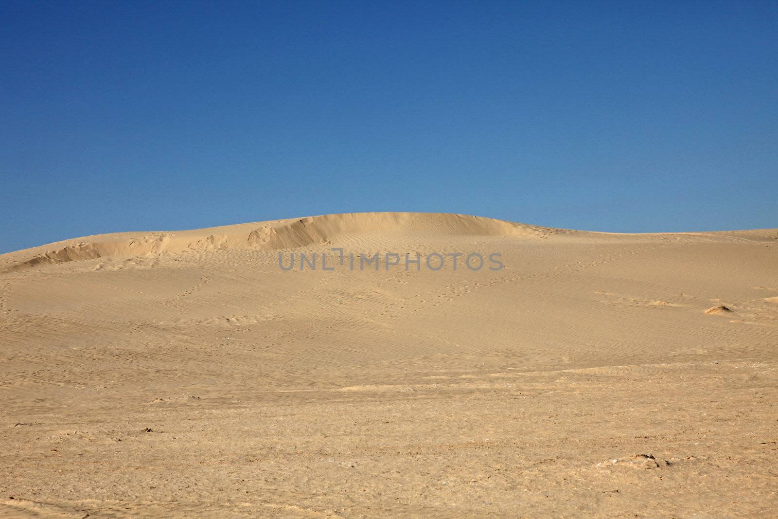 Sahara desert