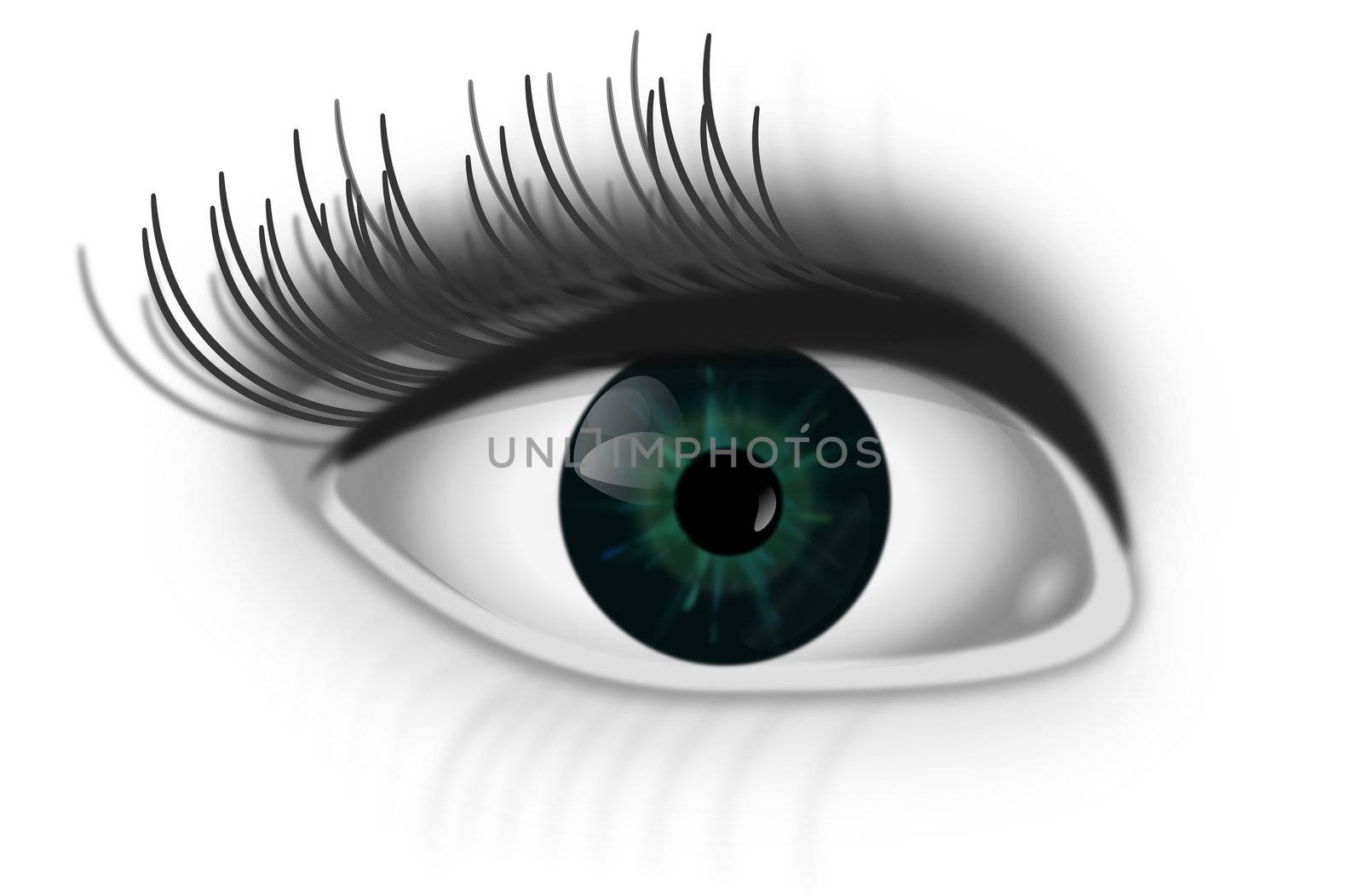 Illustration depicting a single green human eye with white background.