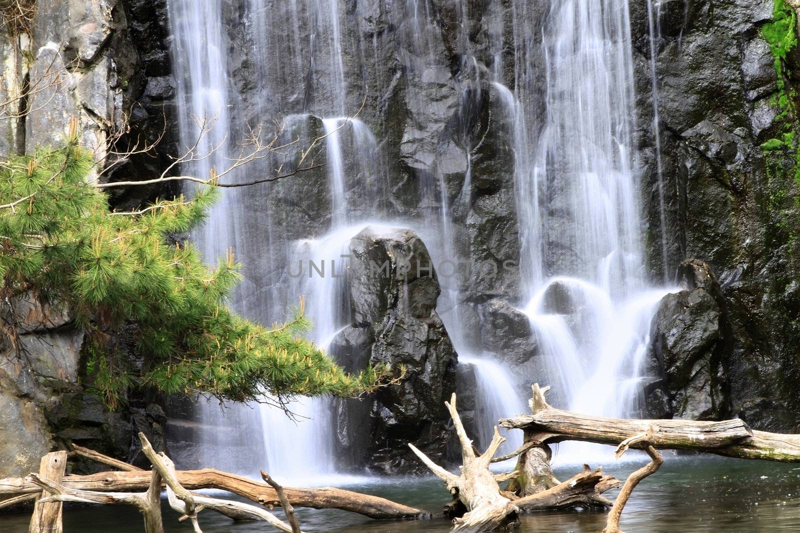 Beautiful cascading waterfall  by sacatani