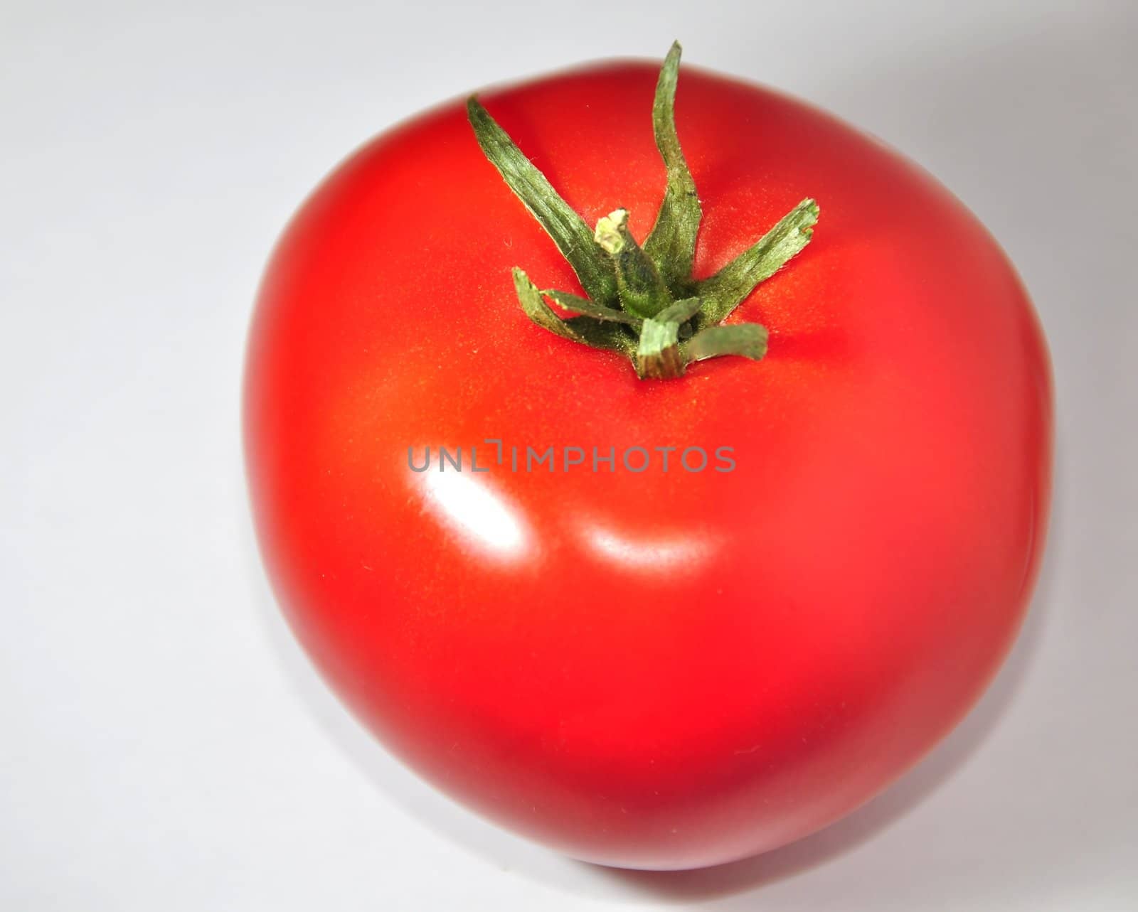 tomato on white background by arnelsr