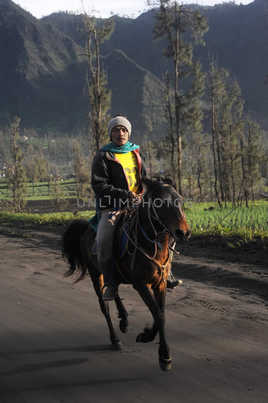 Man riding horse by joyfull