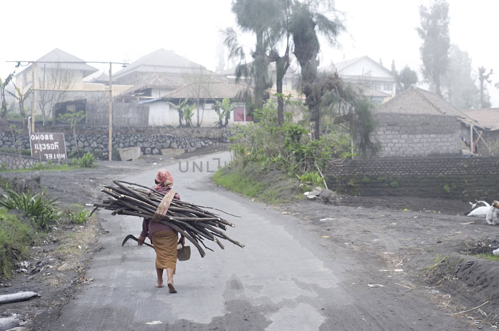 Sukapura, Indonesia - April 24, 2011: Indonesian woman carrying firewood on the way to her home