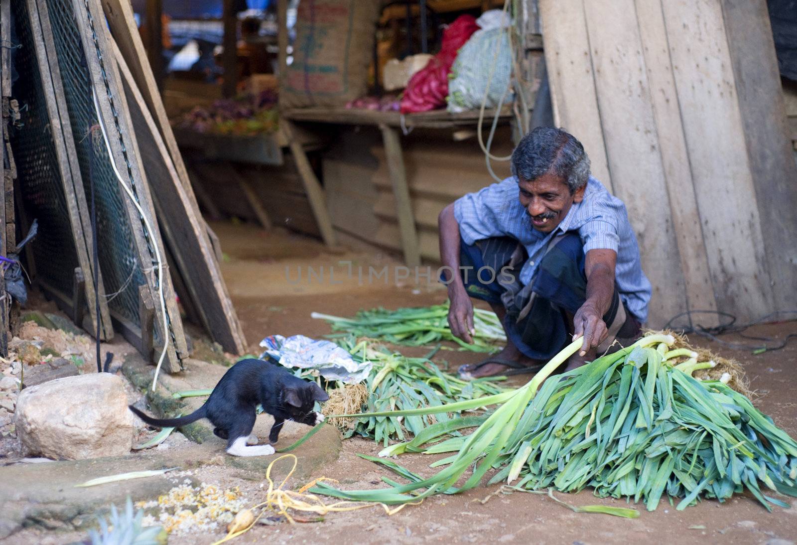 Hikkaduwa, Sri Lanka - January 23, 2011: Lokal man plying with small cat at street market