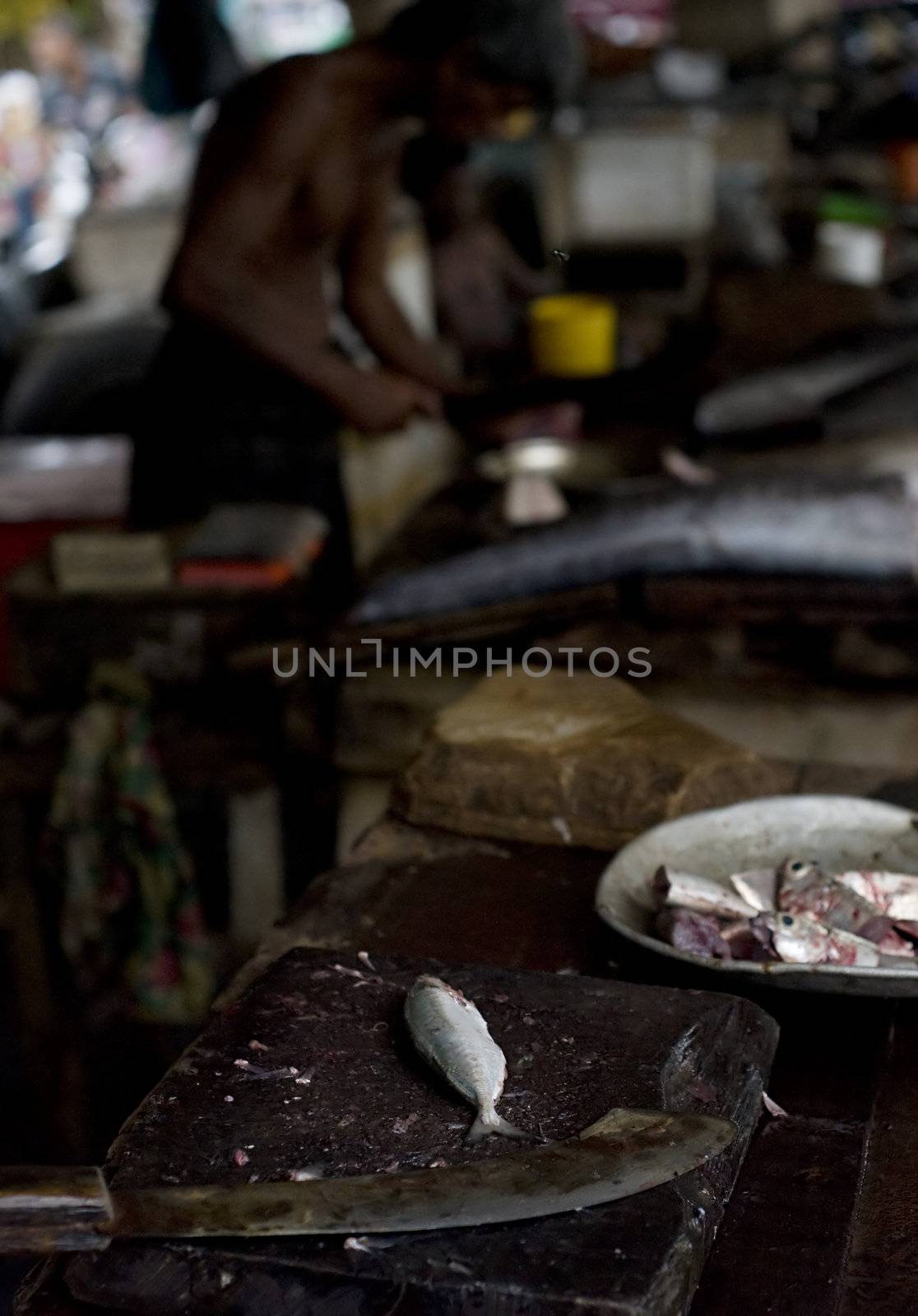 On the street fish market in Sri Lanka