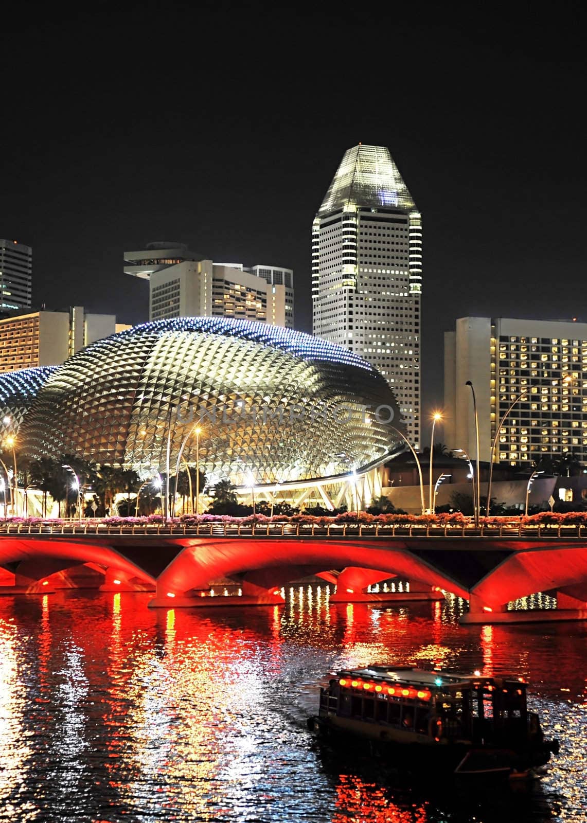 Esplanade theater  is a modern building for musical,art gallery and concert located at riverside near Singapore Flyer.