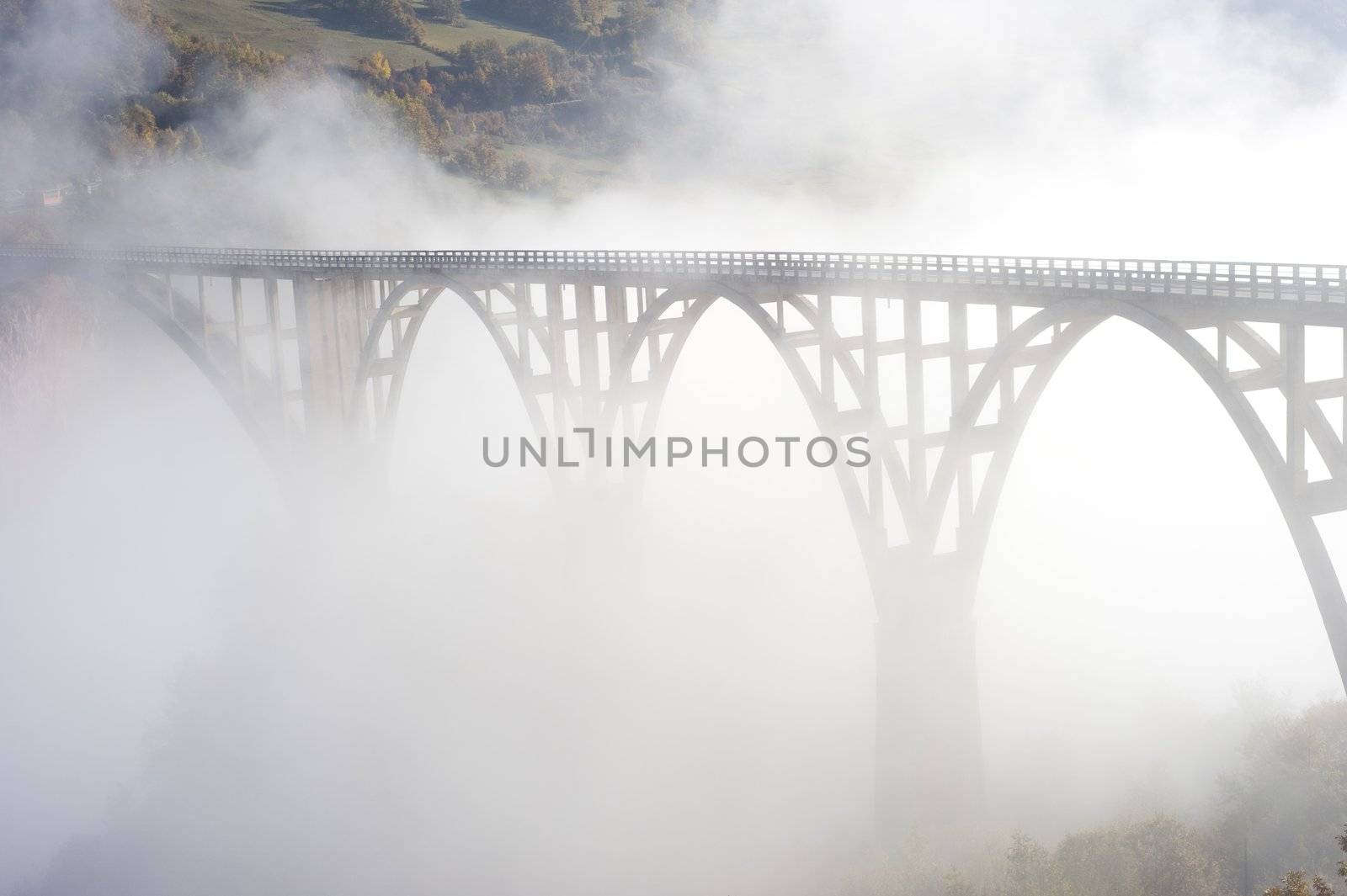 Djurdjevica Tara Bridge is a concrete arch bridge over the Tara River in northern Montenegro. It was built between 1937 and 1940, it's 365m long and the roadway stands 172 metres above the river.