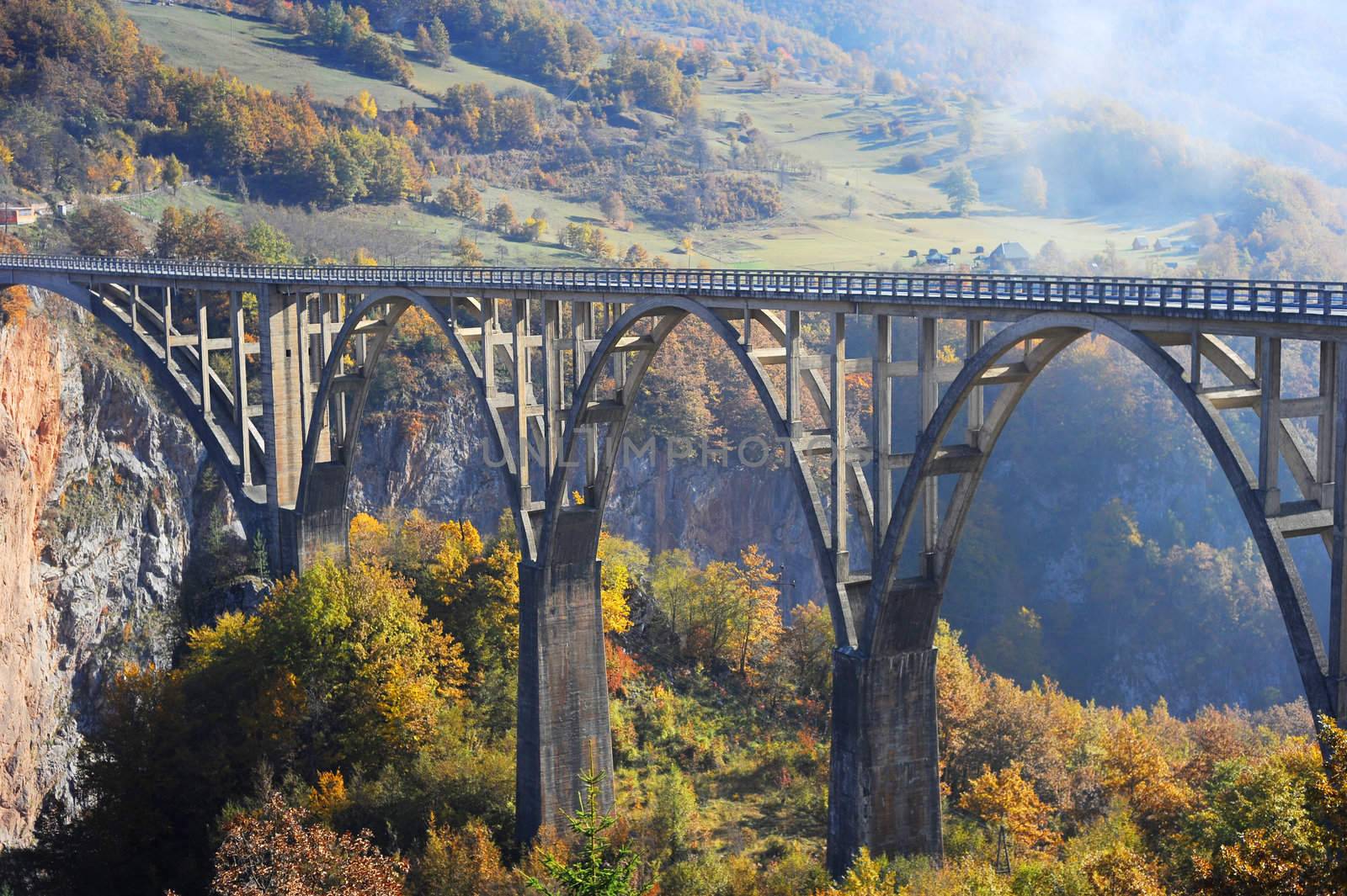 Djurdjevica Tara Bridge is a concrete arch bridge over the Tara River in northern Montenegro. It was built between 1937 and 1940, it's 365m long and the roadway stands 172 metres above the river.