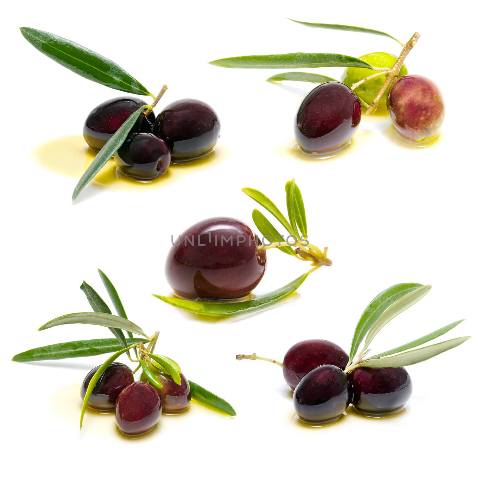 olives on white background