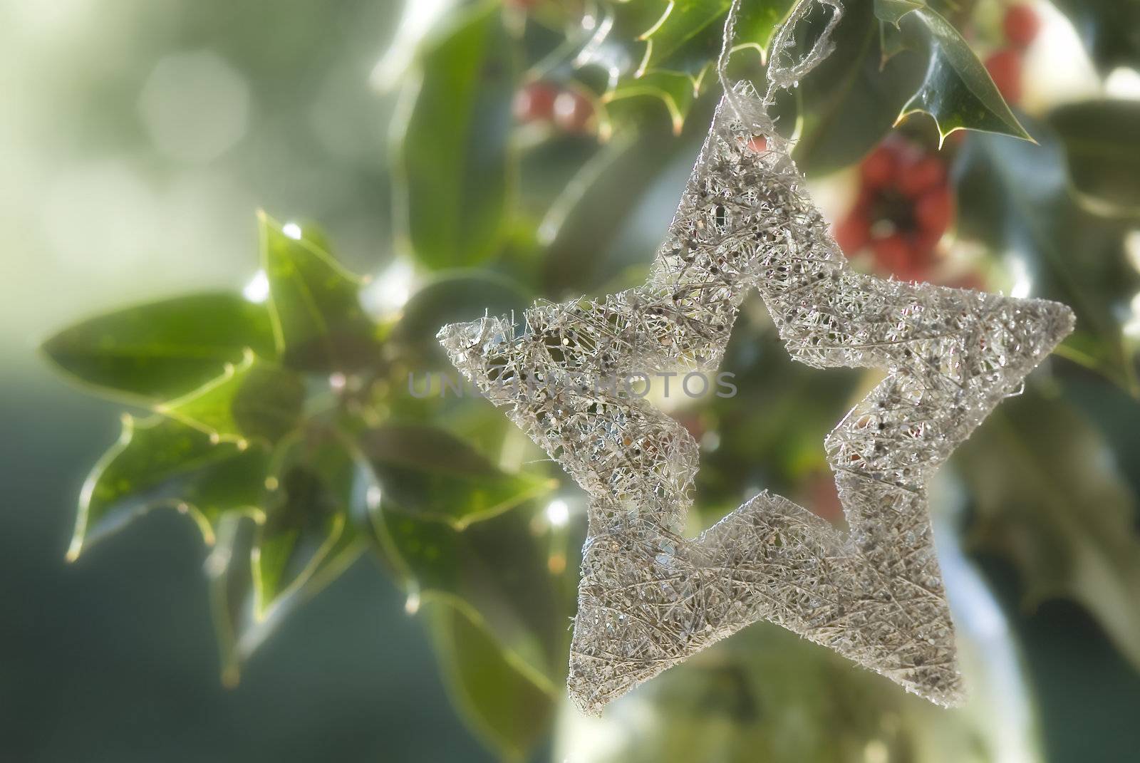 Christmas background, silver star in a holly by Carche